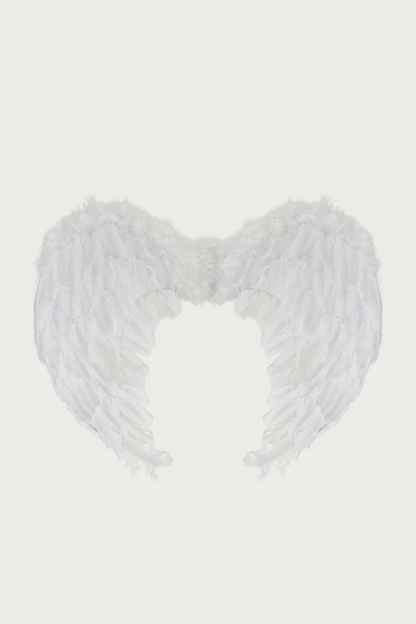 Fallen Angel Wings view 2