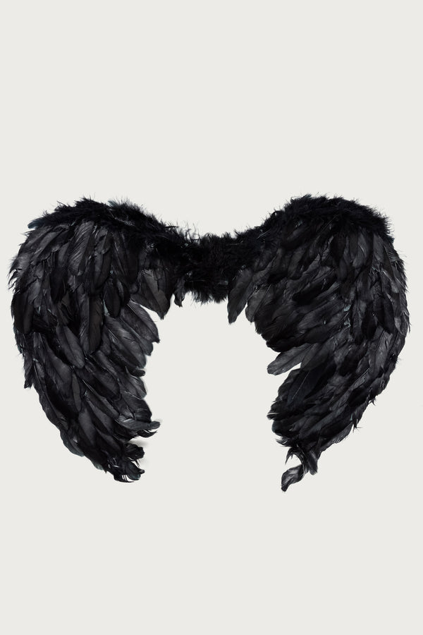 Fallen Angel Wings view 2
