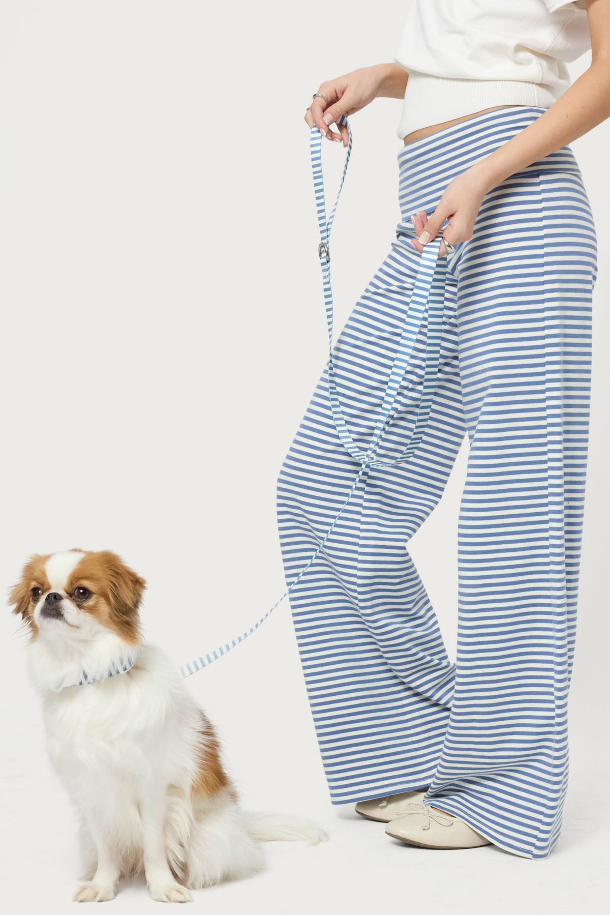 Striped Pet Leash