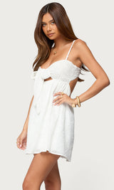 Embroidered Tie Front Cutout Mini Dress