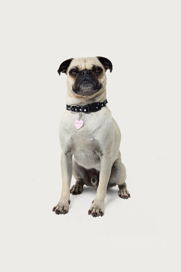 Heart Throb Collar Charm view 2