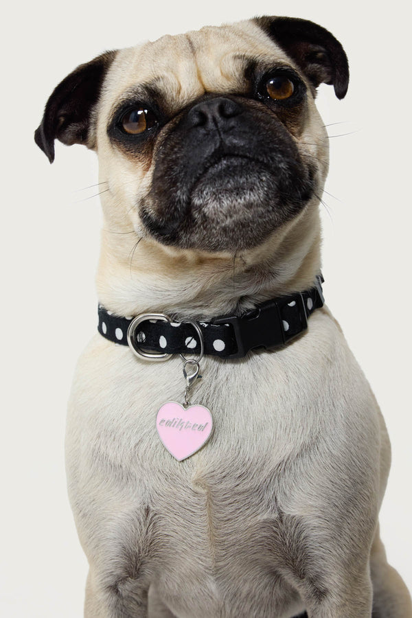 Heart Throb Collar Charm view 1