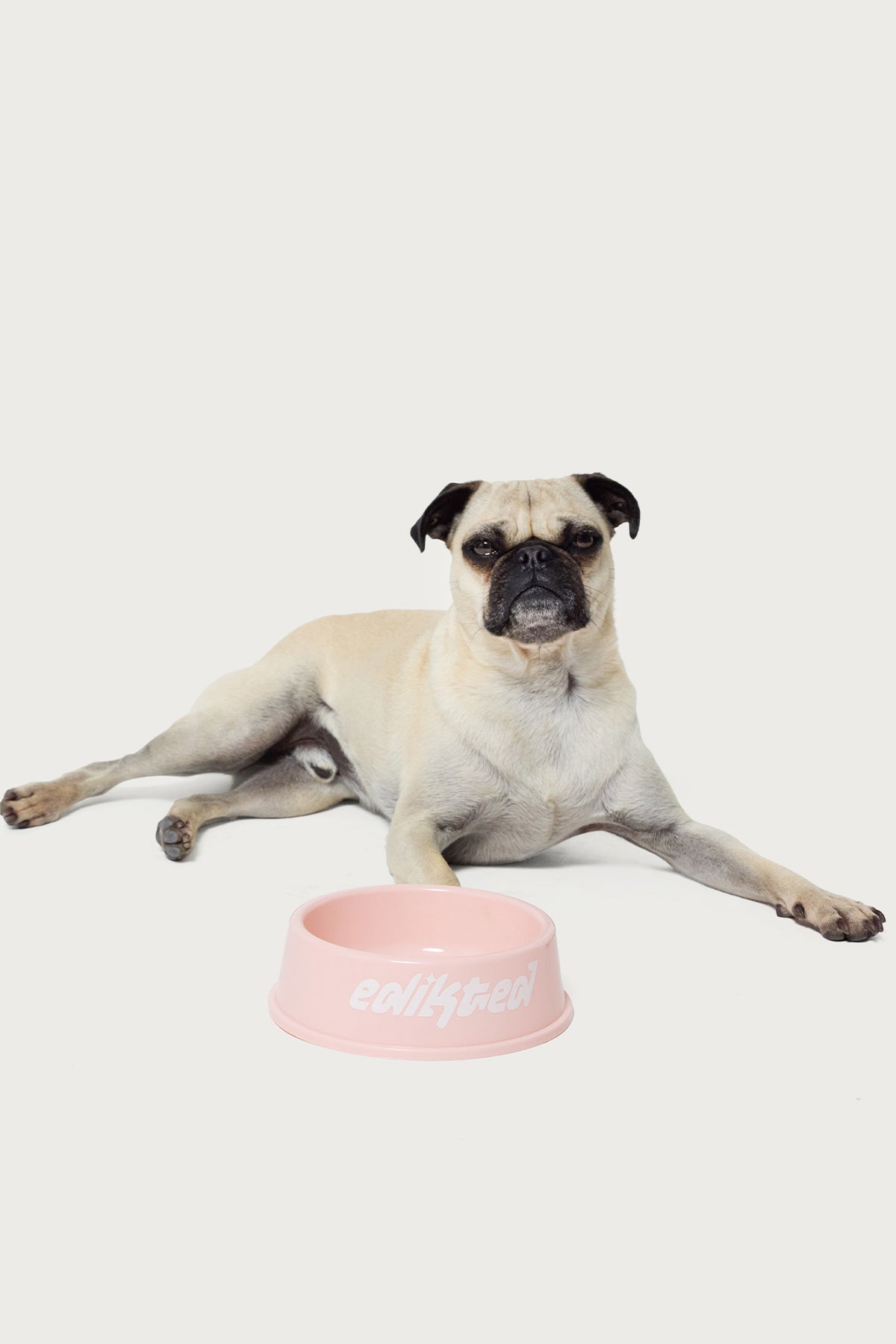 Bone Appetit Pet Bowl