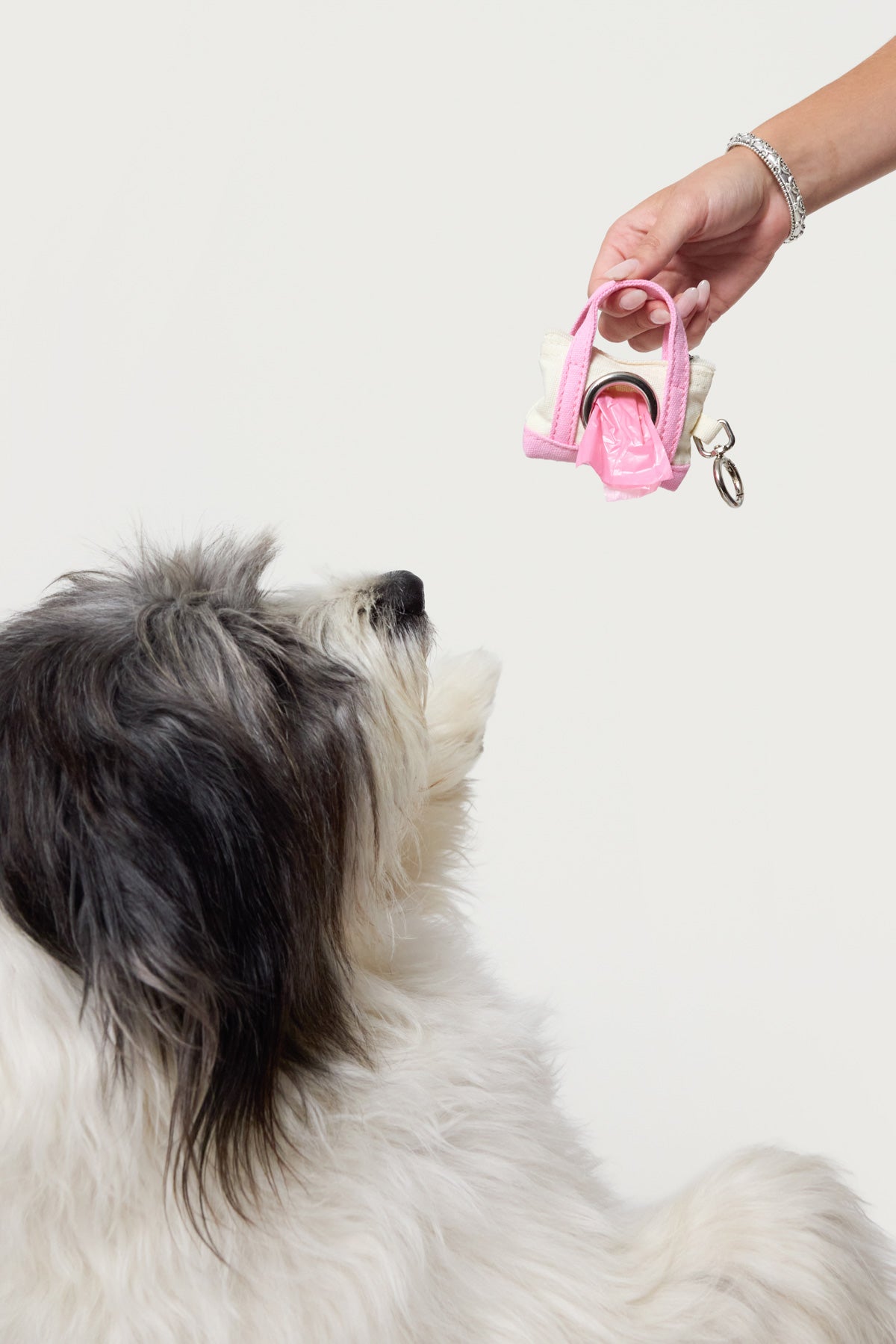 Tidy Tote Poop Bag Holder