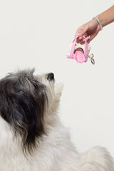 Tidy Tote Poop Bag Holder