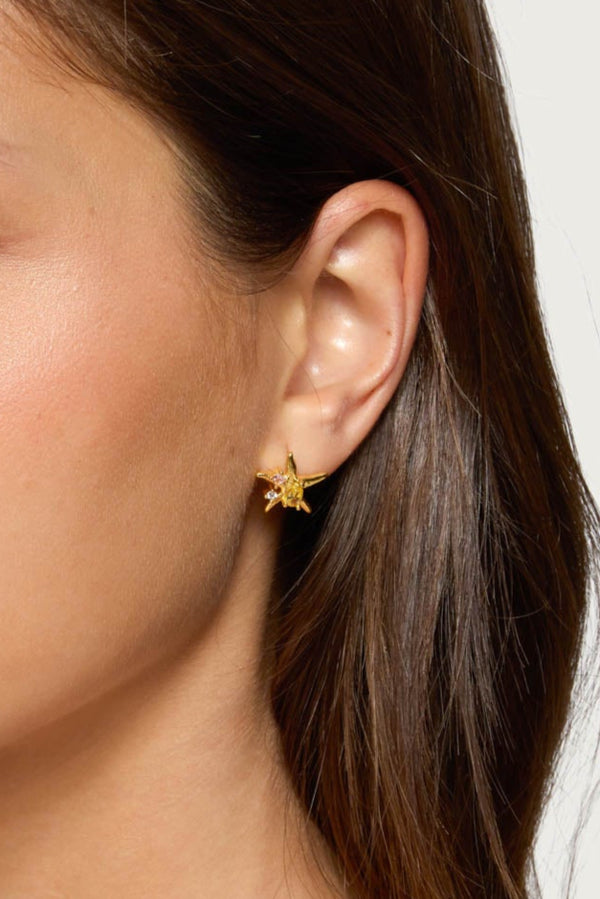 Sea Star Stud Earrings view 2