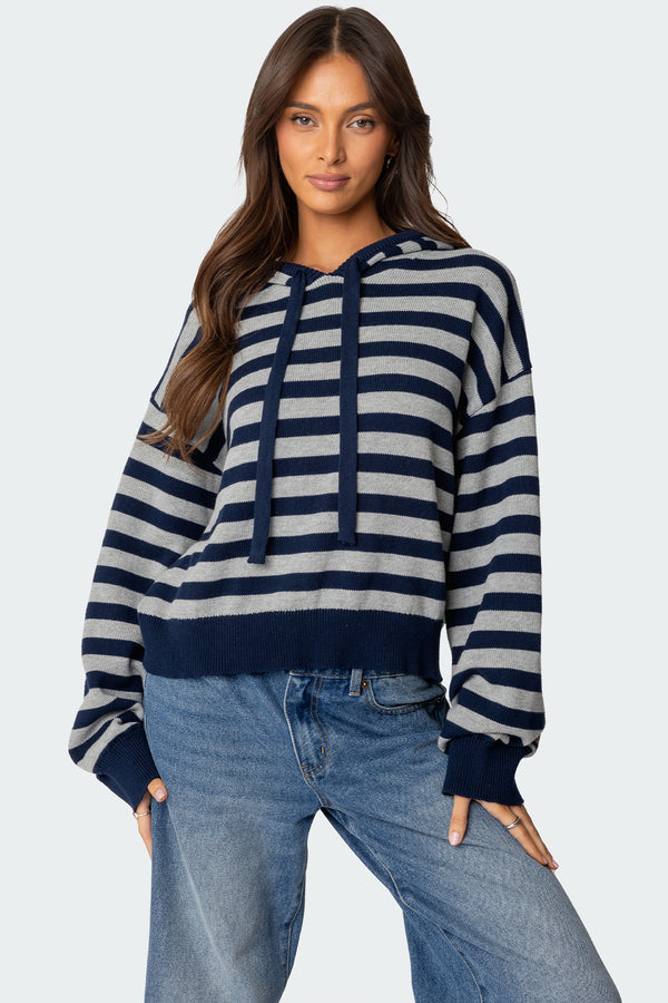 Striped Hooded Knit Sweater view 1