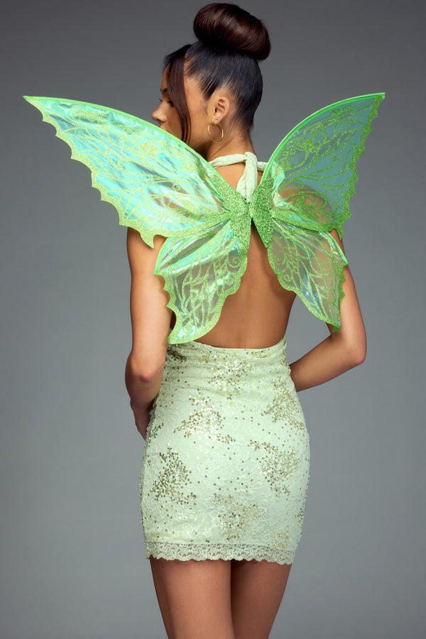 Enchanted Sheer Fairy Wings view 1