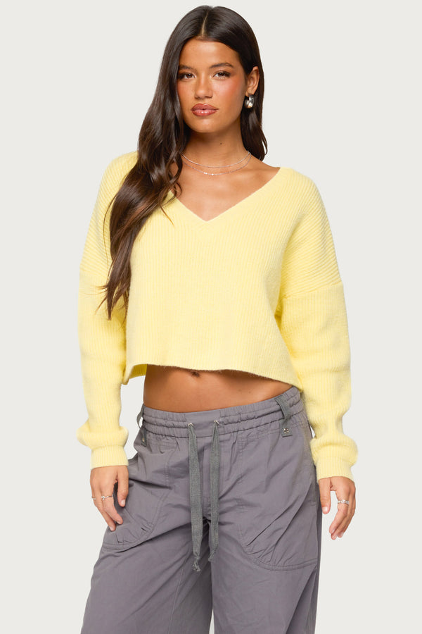 Aima V Neck Ribbed Knit Sweater view 1
