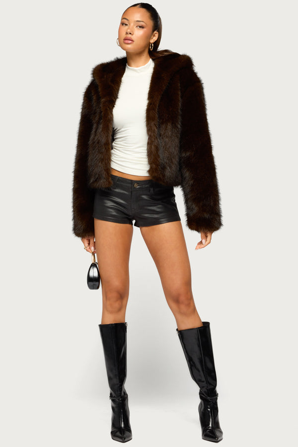 Faylin Hooded Faux Fur Jacket view 2