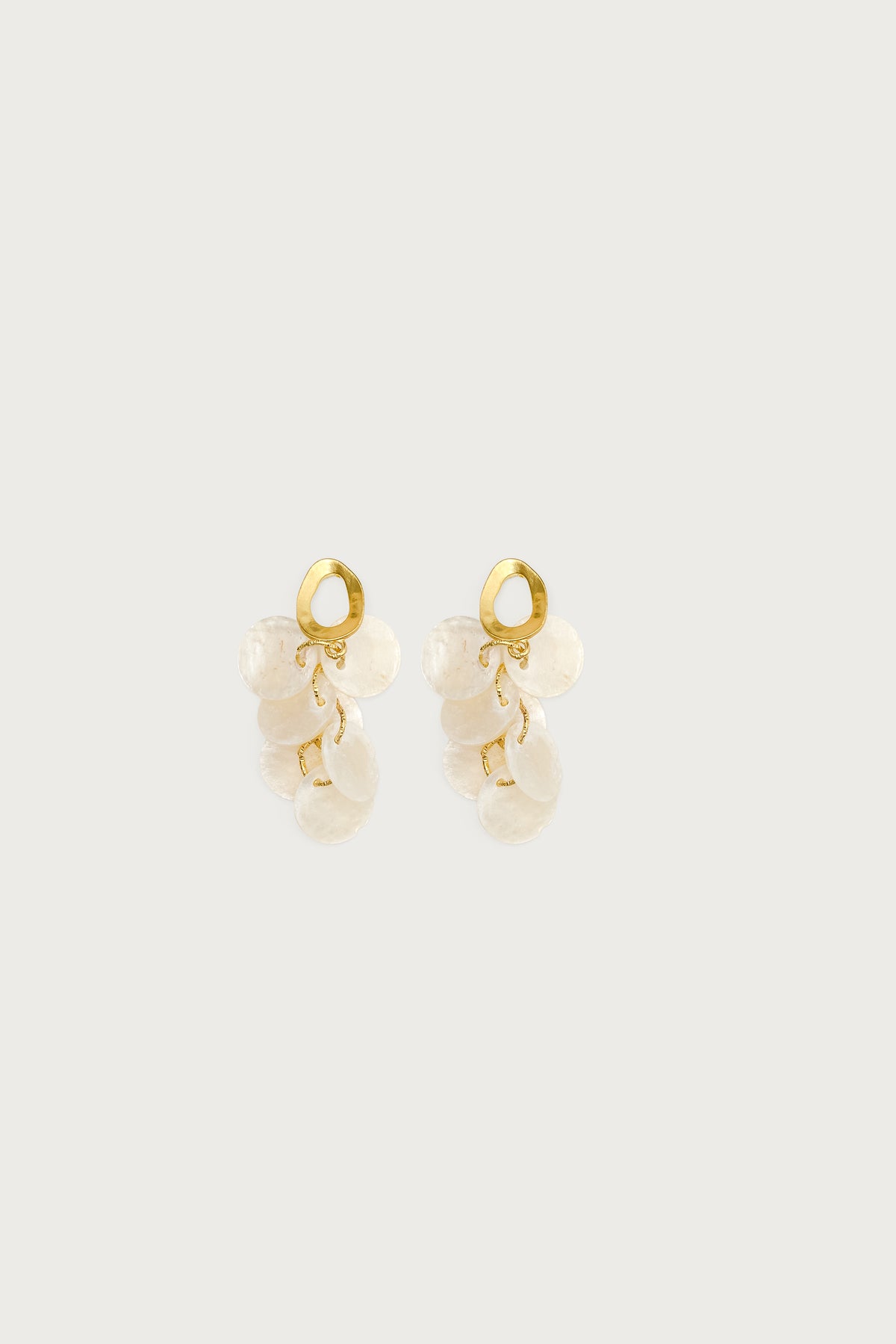 Iridescent Charm Dangling Earrings