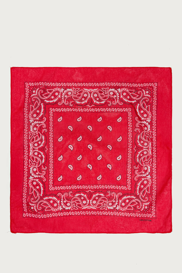 Rodeo Ready Bandana view 2