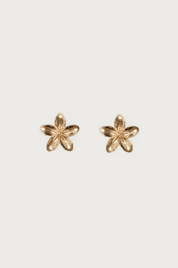 Tropical Fleur Stud Earrings view 2