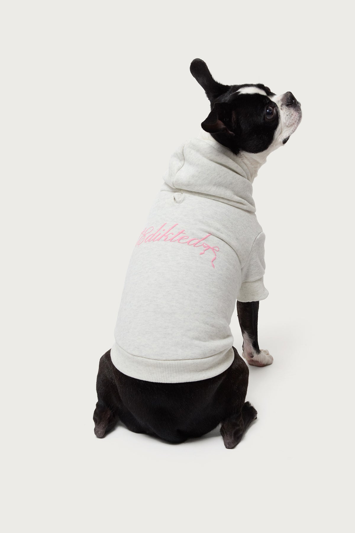Sasha Bow Detail Pet Hoodie