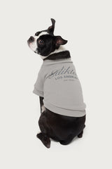 Get Edikted Pet Sweatshirt