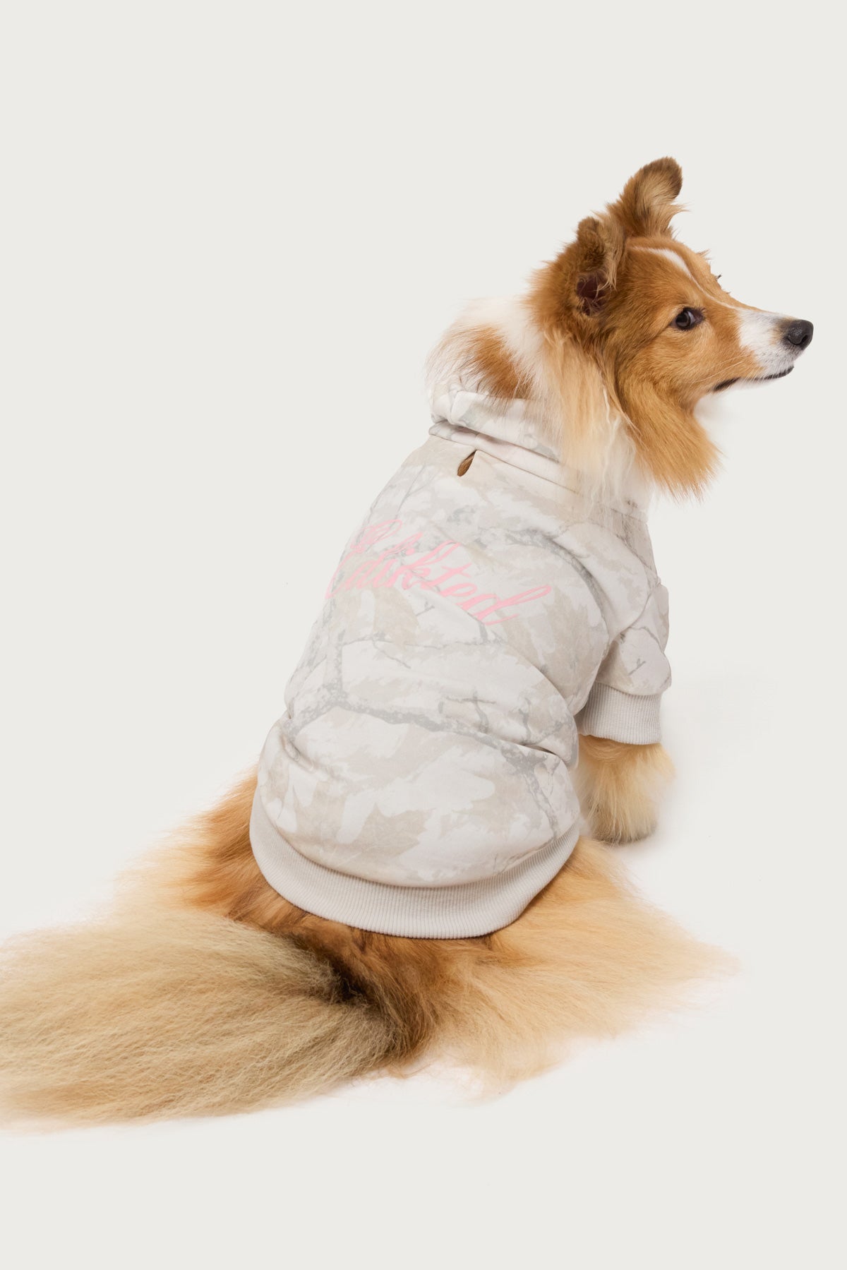 Edikted Camo Pet Hoodie