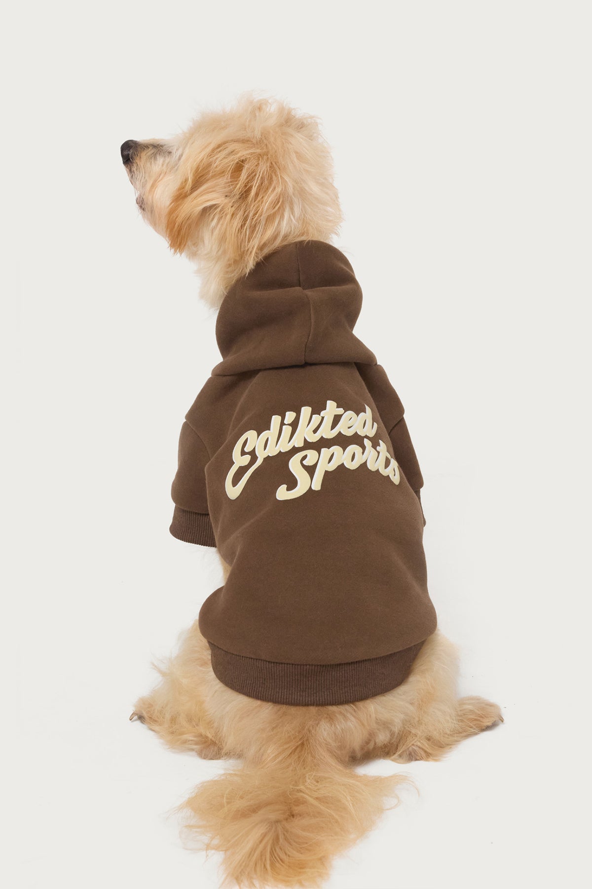 So Sporty Pet Hoodie