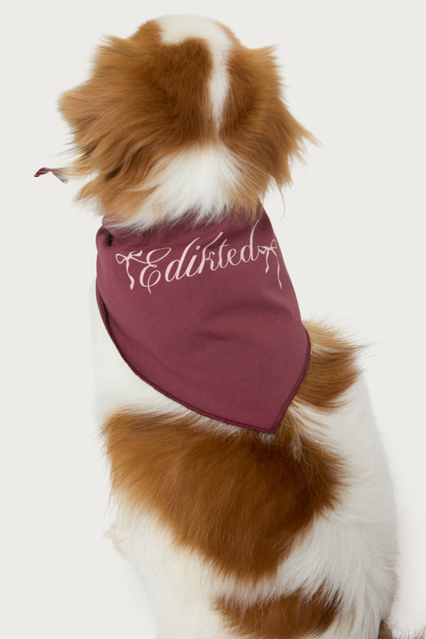 Sasha Bow Pet Bandana view 1