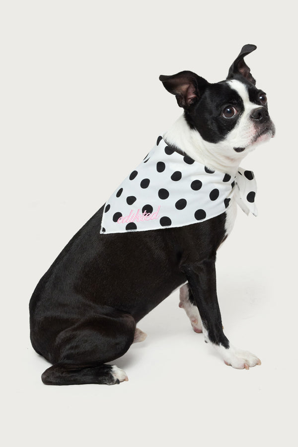 Pawka Dot Edikted Pet Bandana view 1