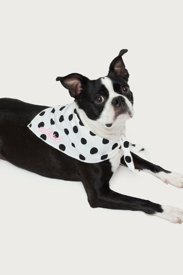 Pawka Dot Edikted Pet Bandana view 2
