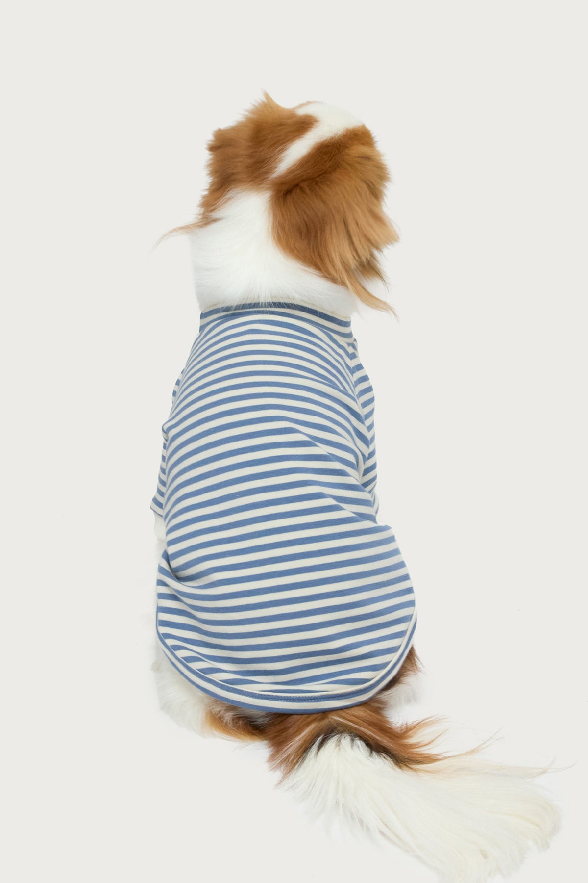 Lilah Striped Pet T Shirt