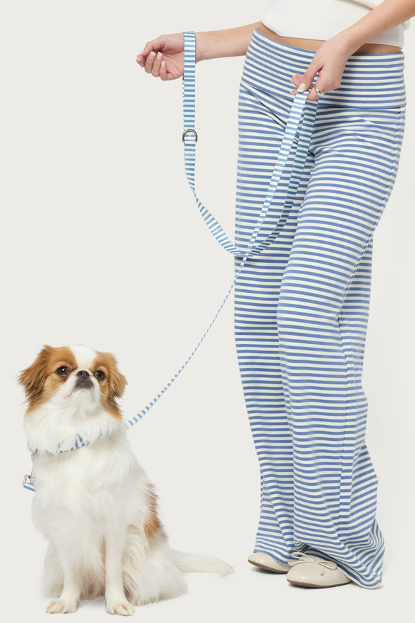 Striped Pet Leash view 1