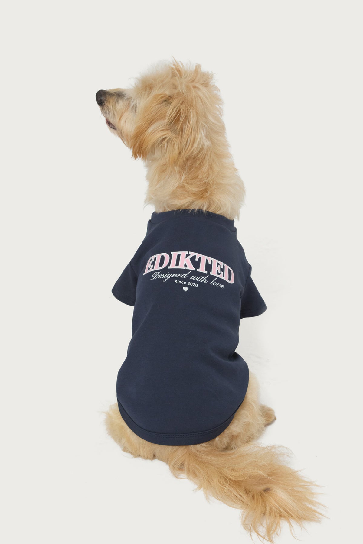 With Love Pet T Shirt