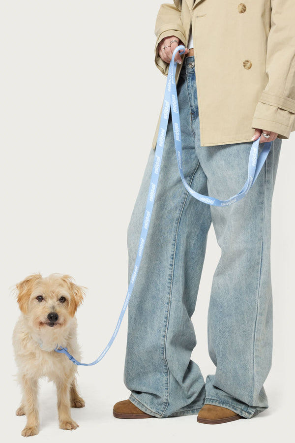 Edikted Pet Leash view 1