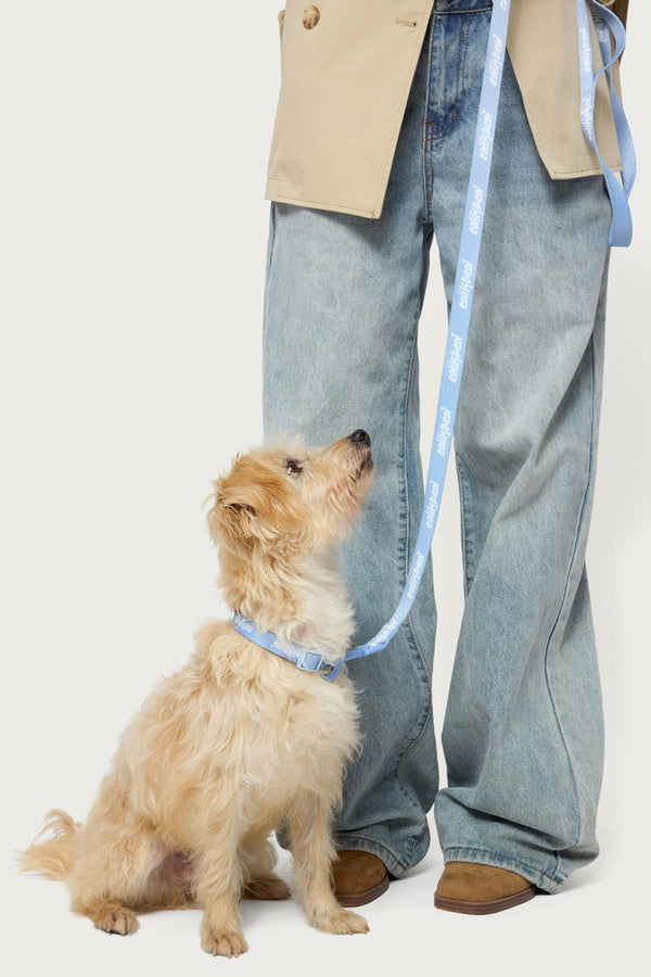 Edikted Pet Leash view 2