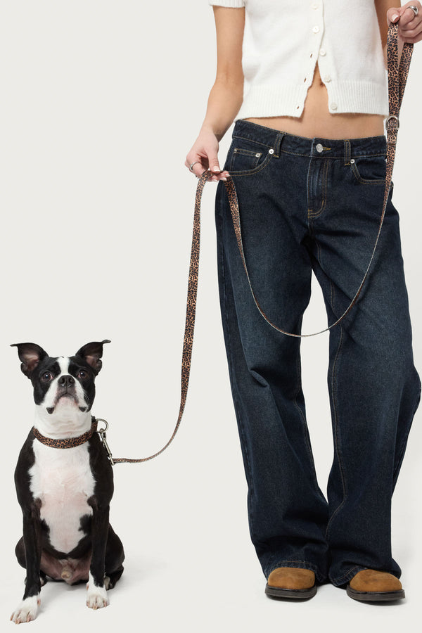 Leopard Print Pet Leash view 1