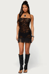 Sophina Fringed Sheer Lace Mini Dress