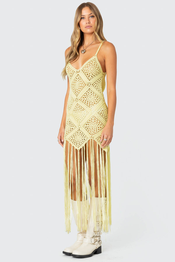 Fringey Crochet Maxi Dress view 2