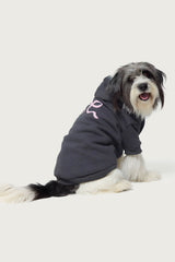 Bonney Bow Pet Hoodie