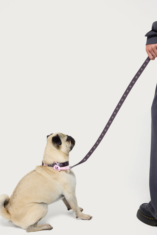 Bonney Bow Pet Leash view 1