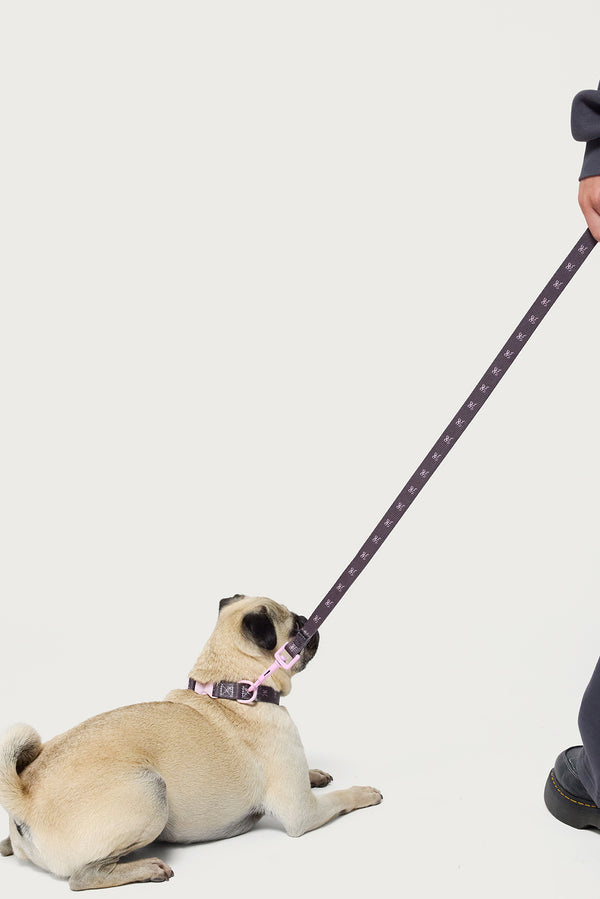 Bonney Bow Pet Leash view 2