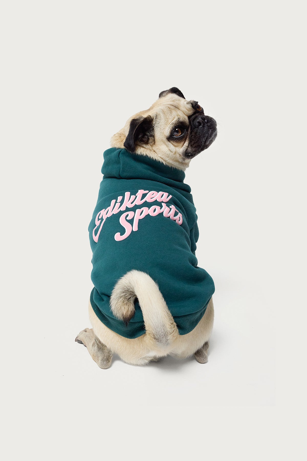 So Sporty Pet Hoodie