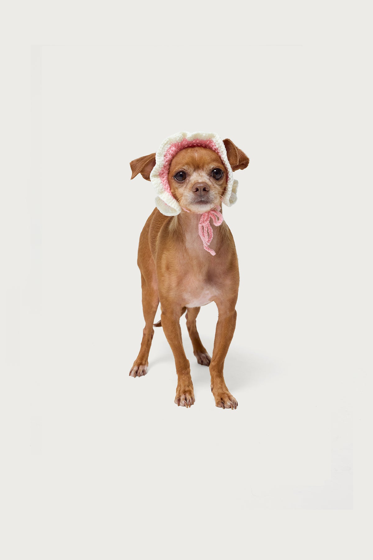 Petal Pet Crochet Hat