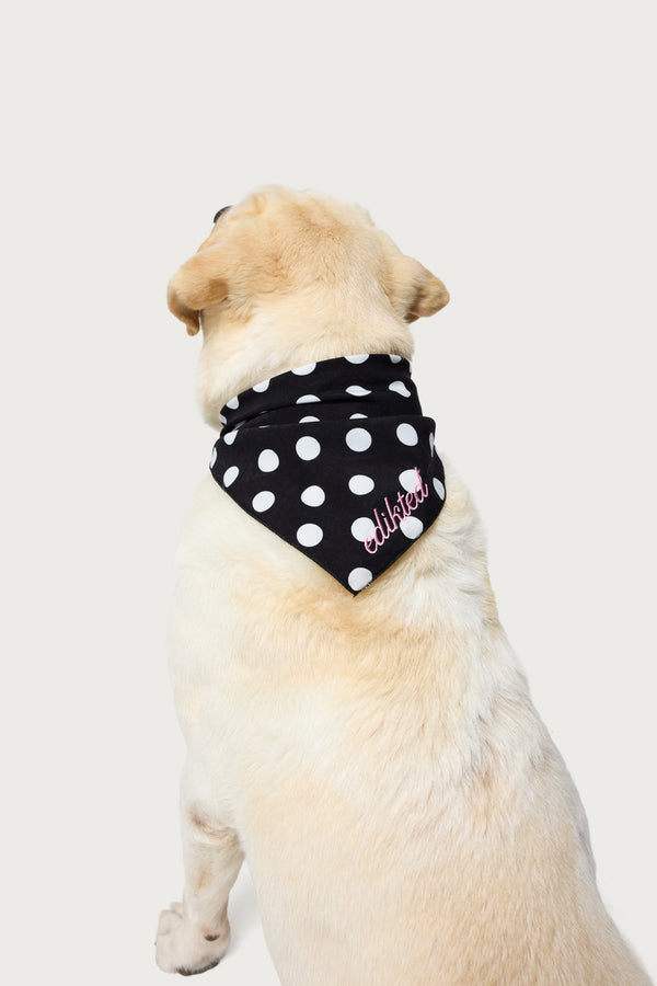 Pawka Dot Edikted Pet Bandana view 2