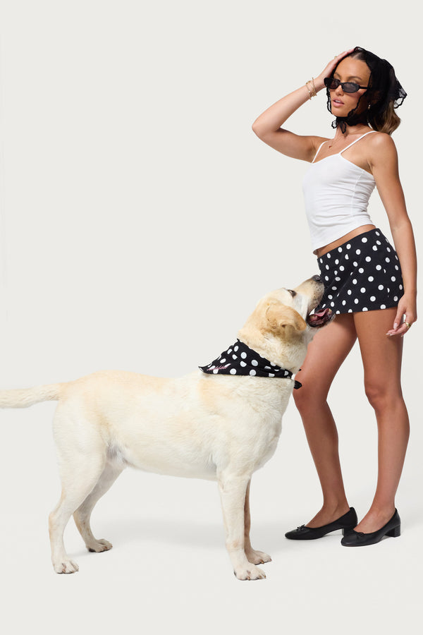 Pawka Dot Edikted Pet Bandana view 1