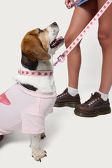 Daylily Pet Leash