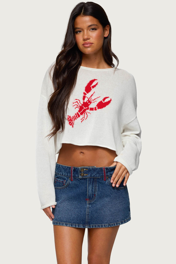 Lobster Babe Oversized Knit Top view 1