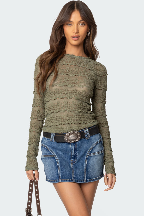 Daisey Textured Sheer Lace Top view 1