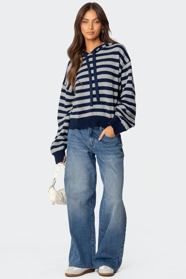 Striped Hooded Knit Sweater view 2