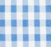 BLUE AND WHITE