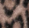 MIX