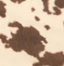 MIX