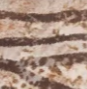 MIX