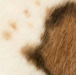 MIX