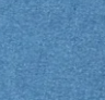 BLUE-WASHED