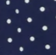 NAVY-AND-WHITE